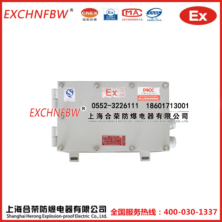 上海合榮防爆廠家直銷非標定制防