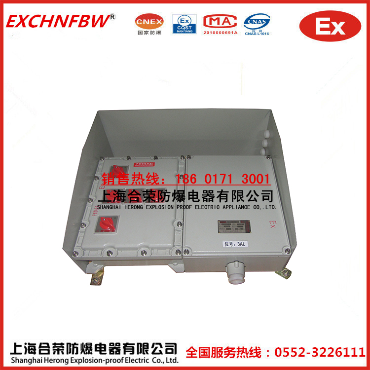 戶外使用帶雨罩防爆配電箱